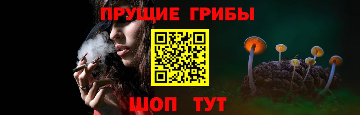 Псилоцибиновые грибы GOLDEN TEACHER Воронеж